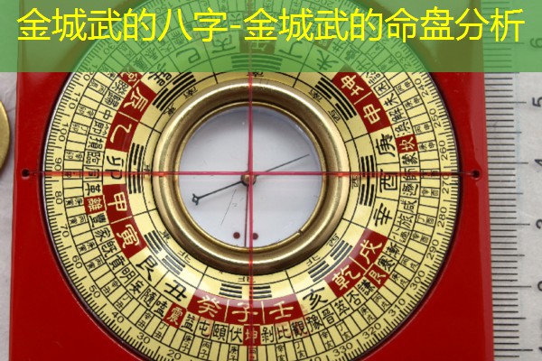  金城武的八字-金城武的命盘分析