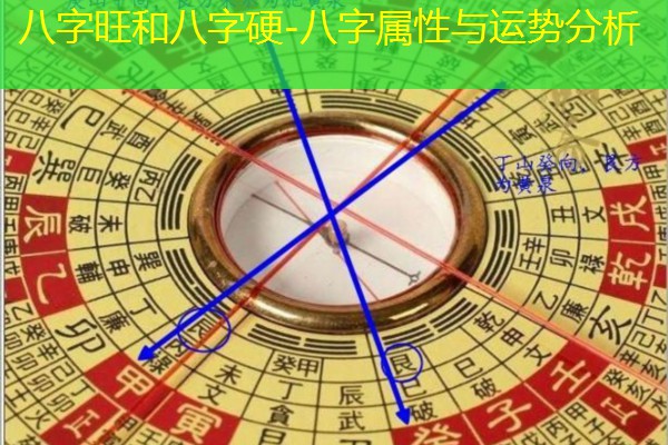  八字旺和八字硬-八字属性与运势分析