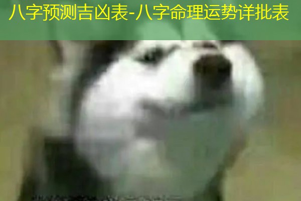  八字预测吉凶表-八字命理运势详批表
