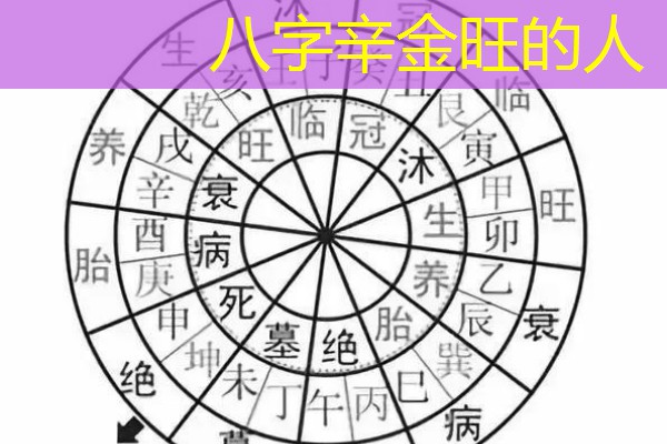  八字辛金旺的人