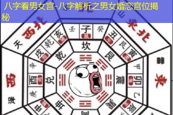  八字看男女宫-八字解析之男女婚恋宫位揭秘
