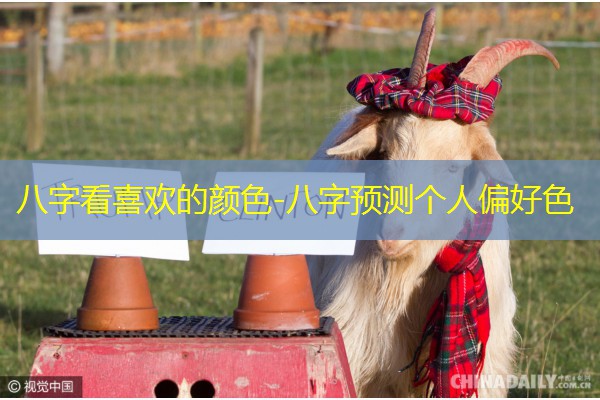  八字看喜欢的颜色-八字预测个人偏好色