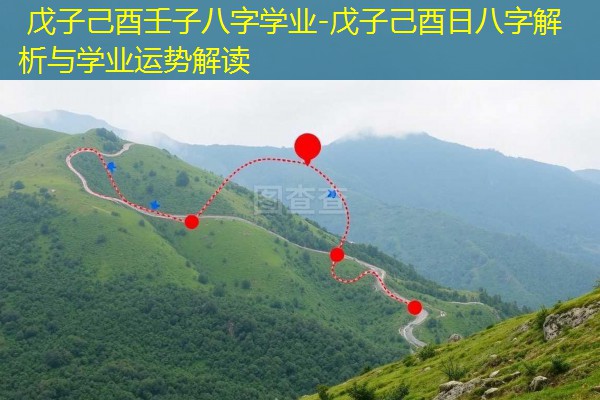  戊子己酉壬子八字学业-戊子己酉日八字解析与学业运势解读