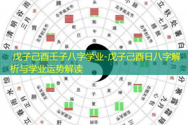  戊子己酉壬子八字学业-戊子己酉日八字解析与学业运势解读