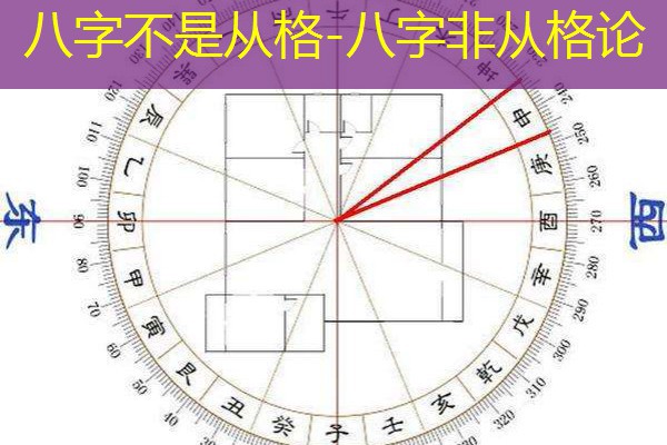  八字不是从格-八字非从格论