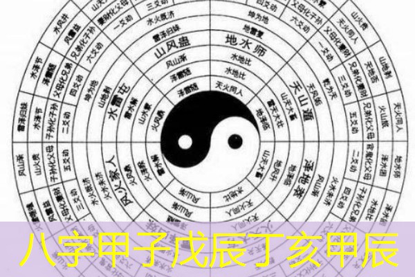  八字甲子戊辰丁亥甲辰
