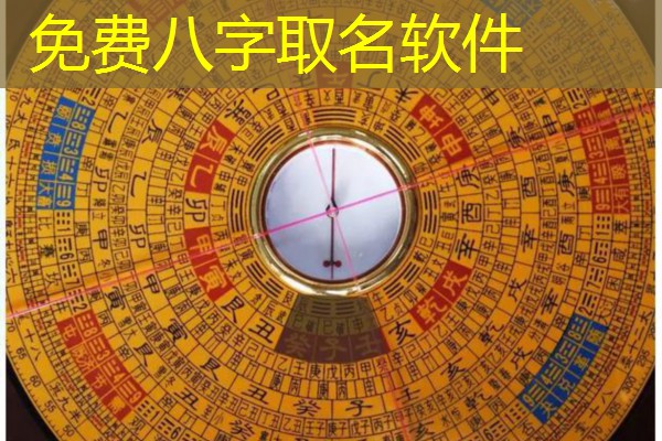  免费八字取名软件