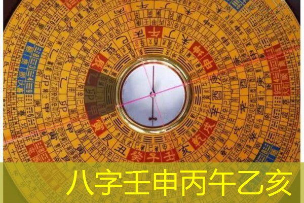  八字壬申丙午乙亥