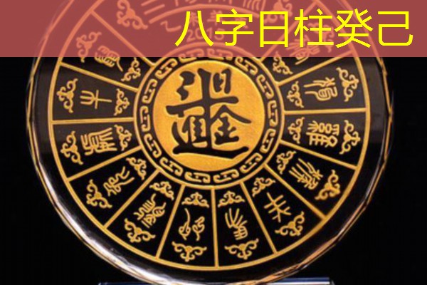  八字日柱癸己