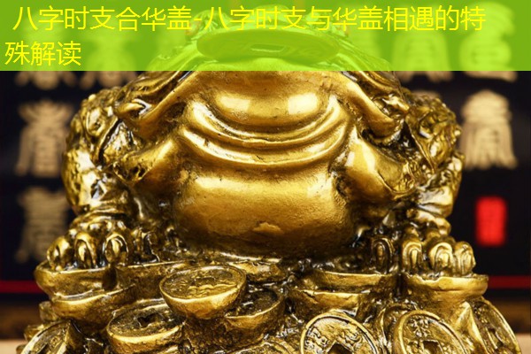  八字时支合华盖-八字时支与华盖相遇的特殊解读