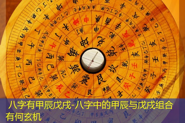  八字有甲辰戊戌-八字中的甲辰与戊戌组合有何玄机