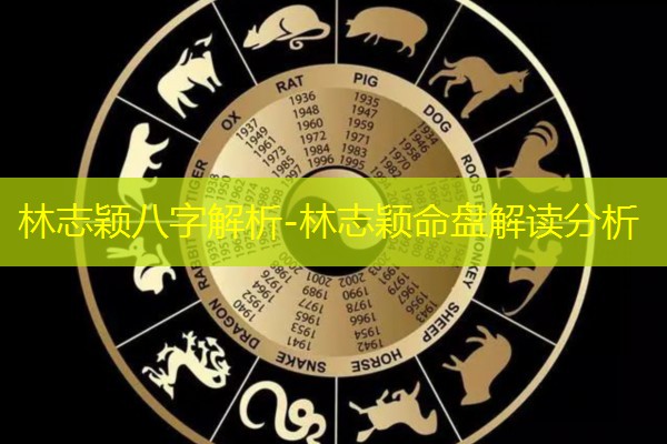  林志颖八字解析-林志颖命盘解读分析
