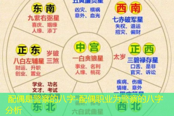  配偶是警察的八字-配偶职业为警察的八字分析