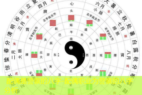  配偶是警察的八字-配偶职业为警察的八字分析