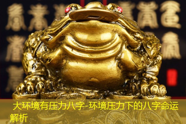  大环境有压力八字-环境压力下的八字命运解析