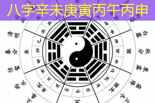  八字辛未庚寅丙午丙申