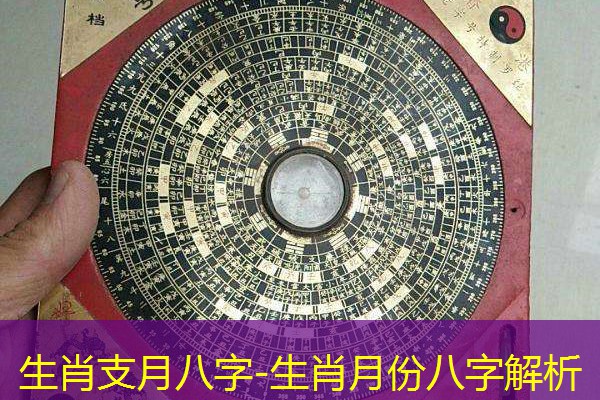  生肖支月八字-生肖月份八字解析