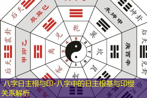 八字日主根与印-八字中的日主根基与印绶关系解析