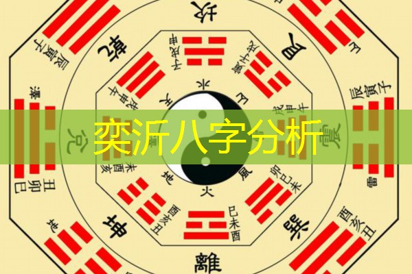  奕沂八字分析