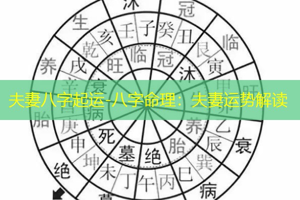  夫妻八字起运-八字命理：夫妻运势解读