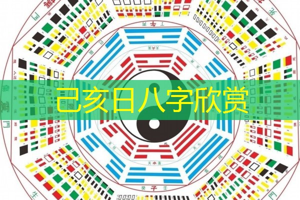  己亥日八字欣赏
