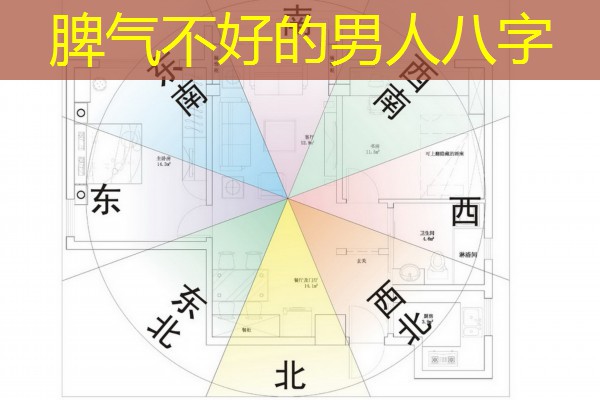  脾气不好的男人八字