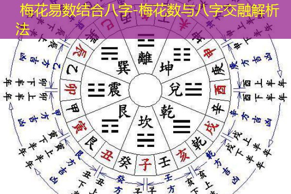  梅花易数结合八字-梅花数与八字交融解析法