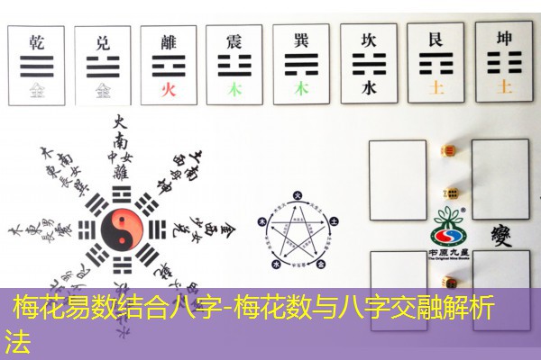  梅花易数结合八字-梅花数与八字交融解析法