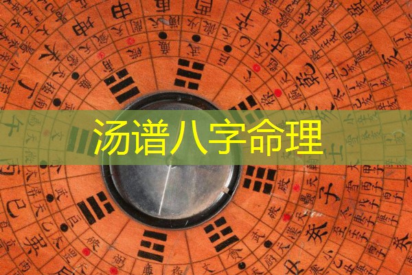  汤谱八字命理