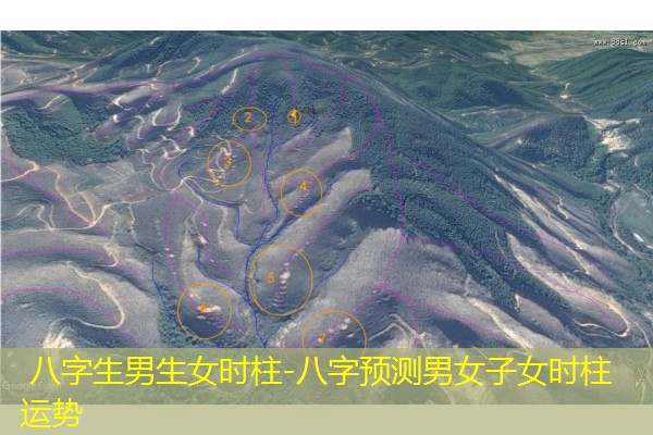  八字生男生女时柱-八字预测男女子女时柱运势