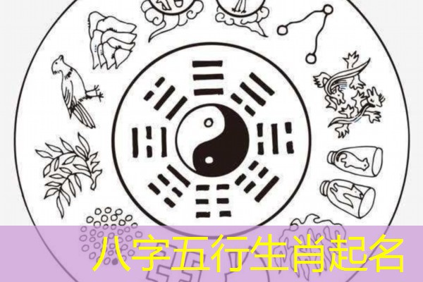  八字五行生肖起名