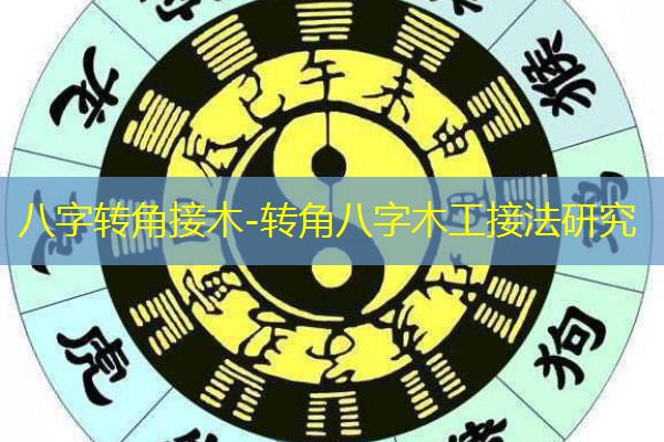  八字转角接木-转角八字木工接法研究