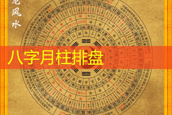  八字月柱排盘