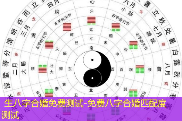  生八字合婚免费测试-免费八字合婚匹配度测试