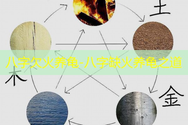  八字欠火养龟-八字缺火养龟之道