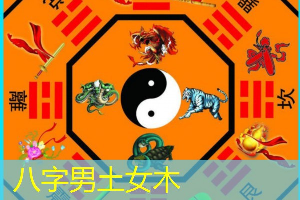  八字男土女木