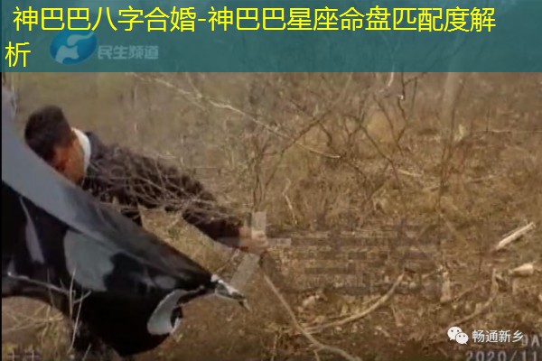  神巴巴八字合婚-神巴巴星座命盘匹配度解析