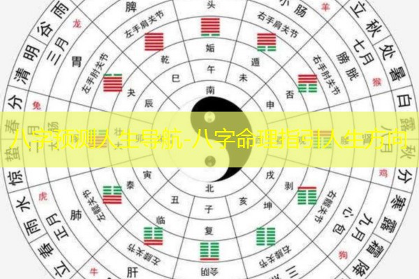  八字预测人生导航-八字命理指引人生方向
