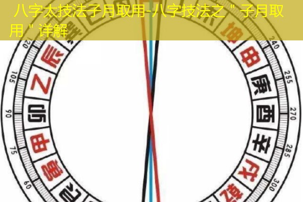  八字太技法子月取用-八字技法之＂子月取用＂详解