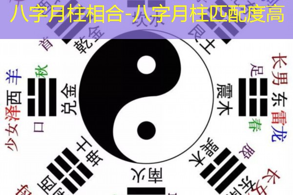  八字月柱相合-八字月柱匹配度高