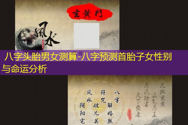  八字头胎男女测算-八字预测首胎子女性别与命运分析
