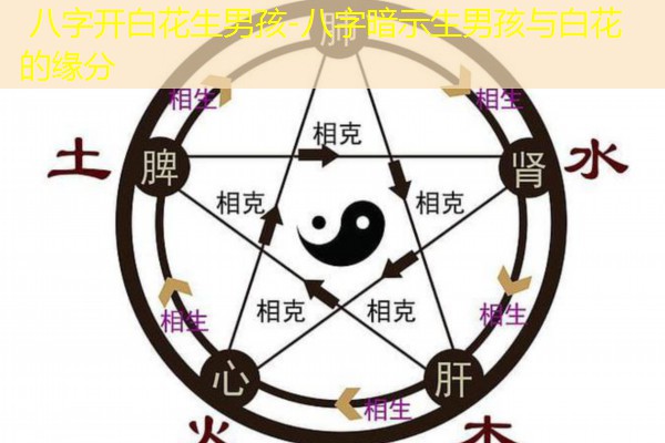  八字开白花生男孩-八字暗示生男孩与白花的缘分