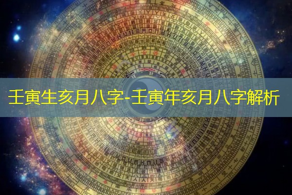  壬寅生亥月八字-壬寅年亥月八字解析