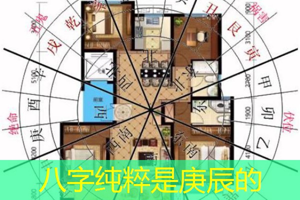  八字纯粹是庚辰的