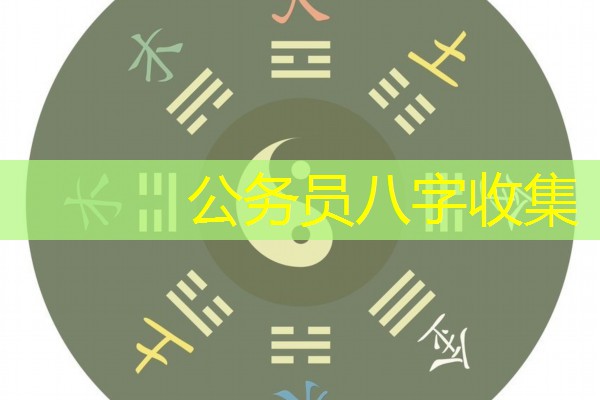  公务员八字收集