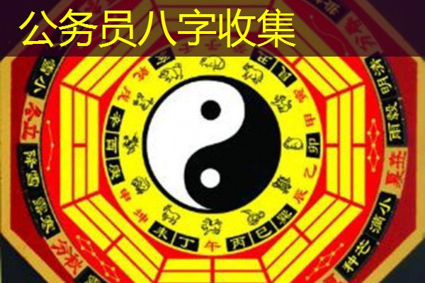  公务员八字收集