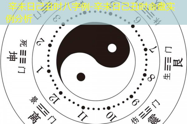  辛未日己丑时八字例-辛未日己丑时命盘实例分析