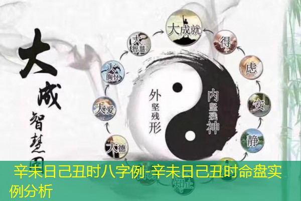  辛未日己丑时八字例-辛未日己丑时命盘实例分析