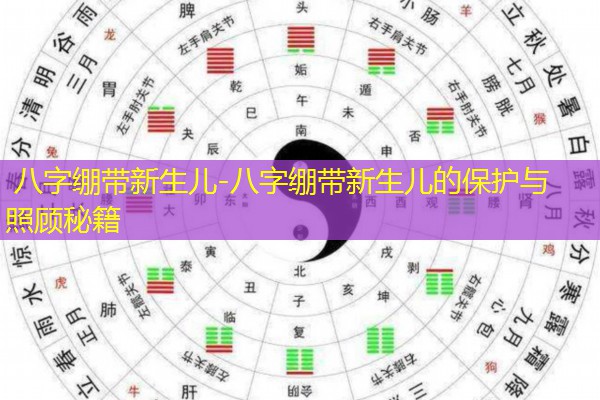  八字绷带新生儿-八字绷带新生儿的保护与照顾秘籍