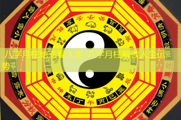  八字月柱地支看人生-八字月柱解读人生运势